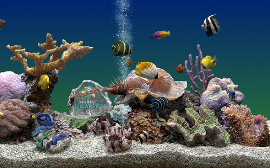3d�ȴ���ˮ���������ƽ������