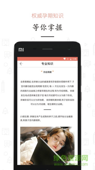 ����(Ů�Ա���)����