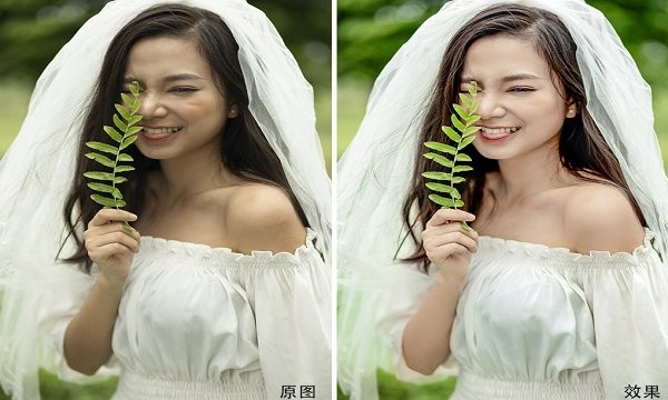 ³����ͼ���԰�����