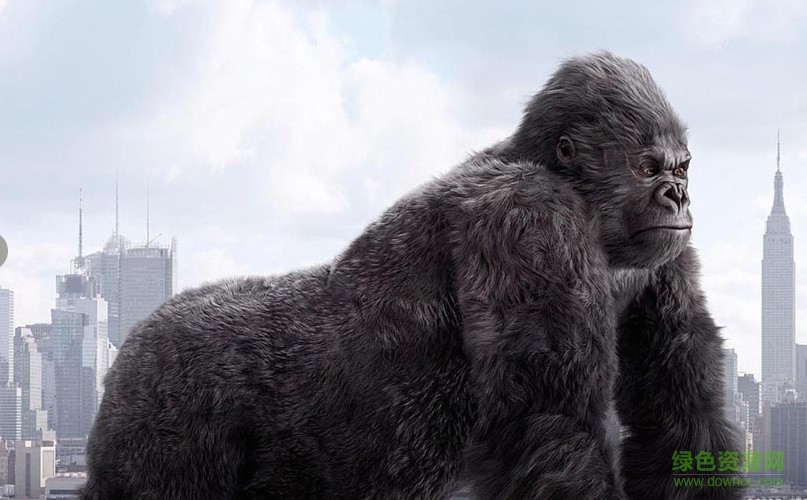 mayaë�����(Peregrine Labs Yeti)����