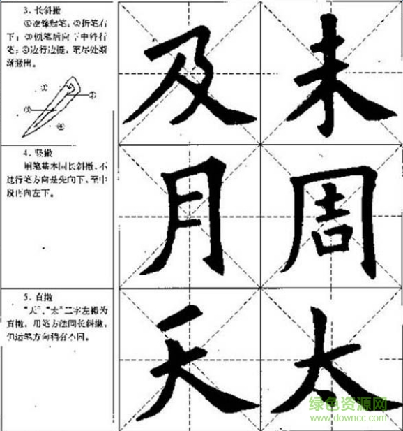 ŷѯ鷨