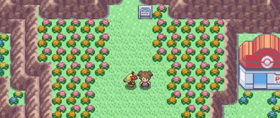 ��pokemmo�ڰ�rom�����԰�v1.0 ���°桷