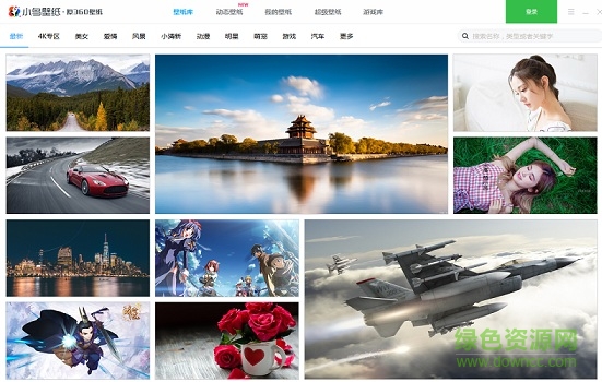 小鸟壁纸动态壁纸破解版下载 小鸟壁纸动态壁纸破解版下载